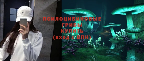 шишки Абдулино