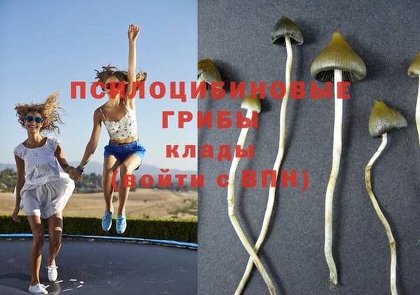 кокаин премиум Алзамай
