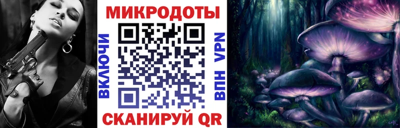 Псилоцибиновые грибы Psilocybine cubensis  Ессентукская 